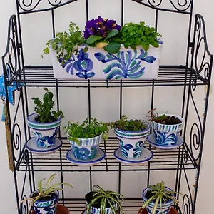 https://casa-louisa-malaga.1costadelsol.com